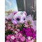 Peluş Oyuncaklı Cipso Buketi