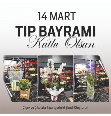 14 MART TIP BAYRAMI